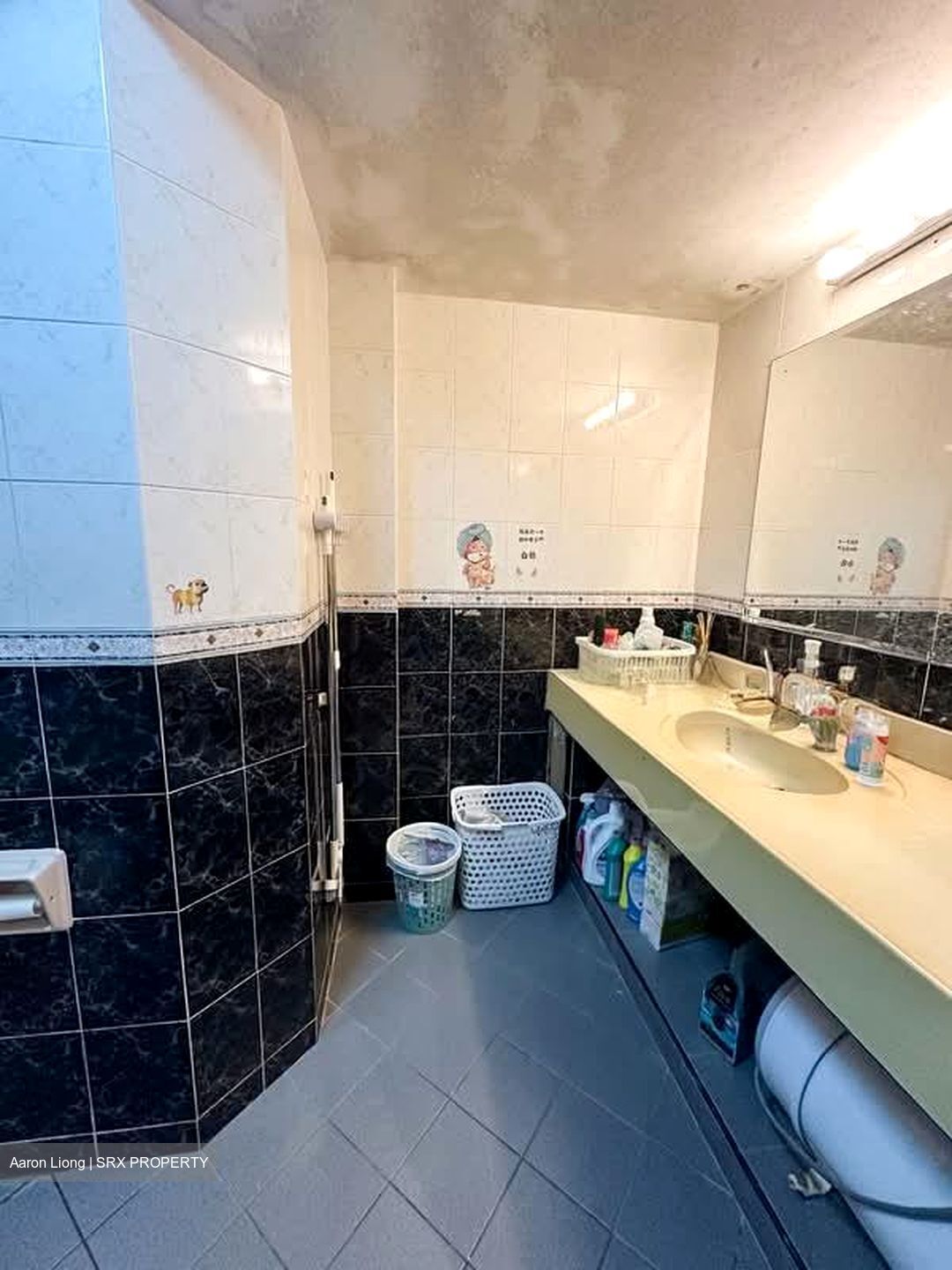 Melville Park (D18), Condominium #567716861